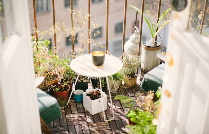 Terraço soalheiro com vasos de arbustos, aromáticas e flores ao longo do gradeamento
