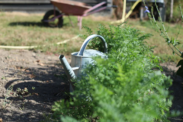 Regador metálico pousado entre plantas de folhagem